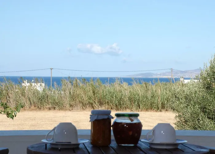 Bluefox Aparthotel 4*